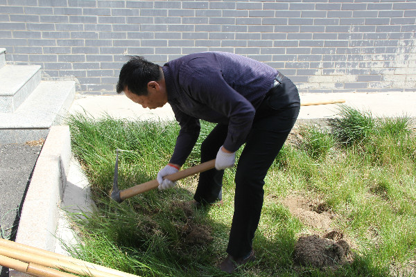 bat365师生到贺阳国际中小学参加劳动