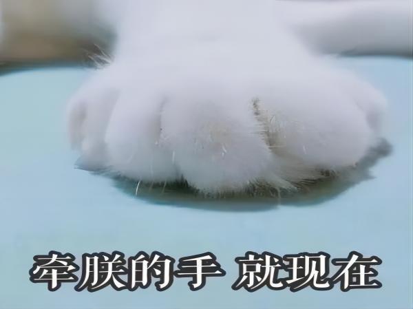 bat365官方官网||管理学院||脆皮大学生急救指南
