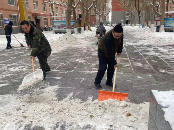 bat365官方官网||管理学院||党员先锋在行动 清雪除冰传温情