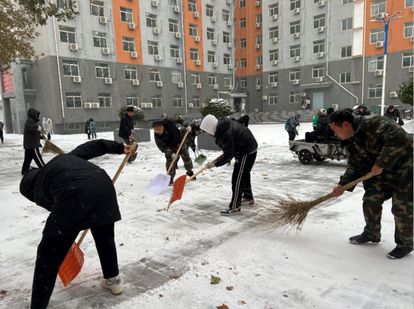 bat365官方官网||管理学院||党员先锋在行动 清雪除冰传温情