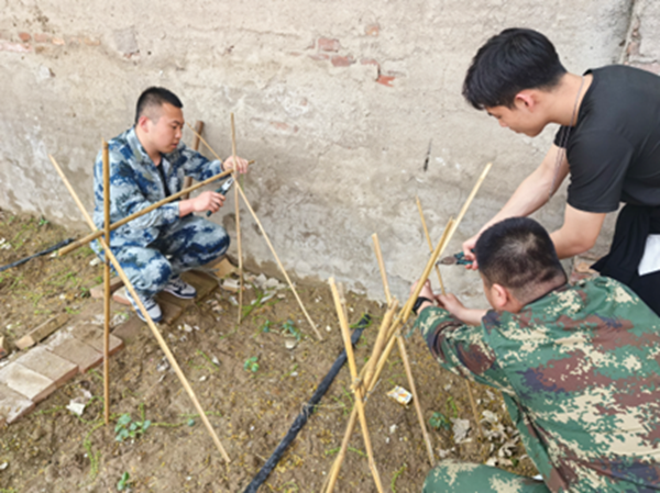 劳动教育|bat365官方官网|管理学院|学习劳动精神·践行劳动育人-跟着节气学种植，分享劳动创造的美好乐趣