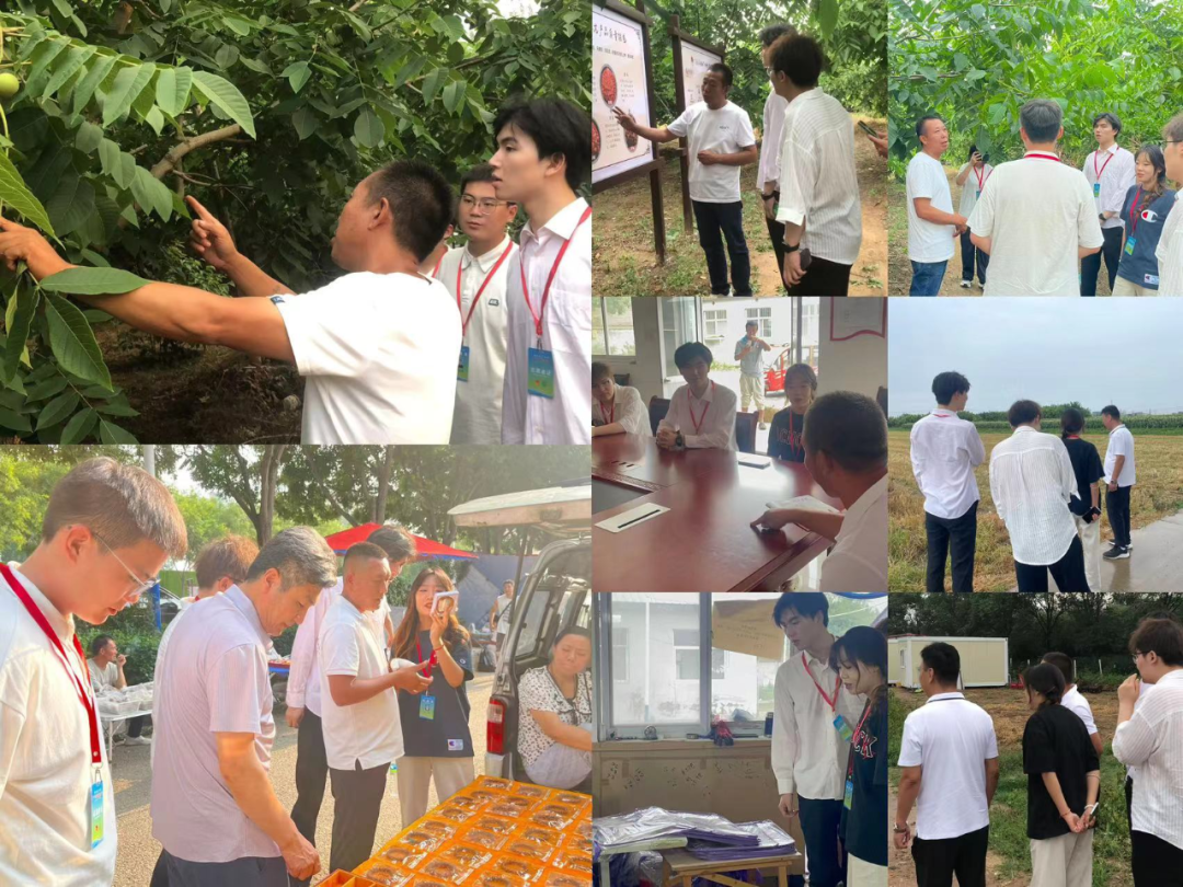 社会实践(二)|青春筑梦乡村,矢志不渝献力量——bat365官方官网“行以志远”乡村振兴实践团社会实践活动