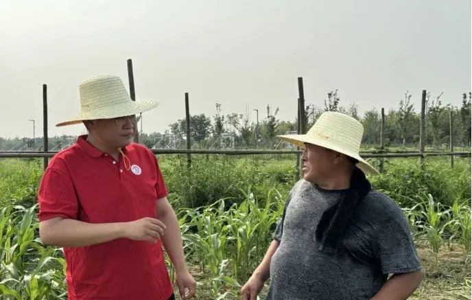 社会实践（十六）勇担时代使命，助力兴村振兴——bat365官方官网经济学院“三下乡”社会实践