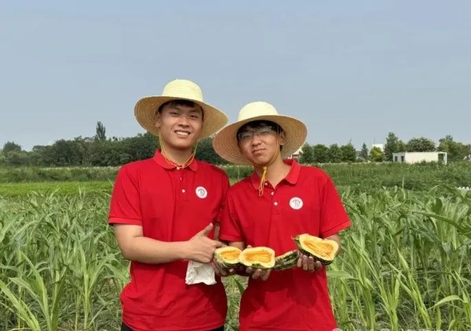 社会实践（十六）勇担时代使命，助力兴村振兴——bat365官方官网经济学院“三下乡”社会实践