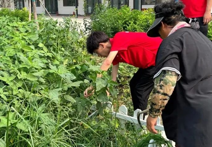 社会实践（十六）勇担时代使命，助力兴村振兴——bat365官方官网经济学院“三下乡”社会实践