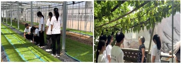 社会实践(九)|乡村振兴,青春先行——bat365官方官网教育学院暑期“三下乡”社会实践活动