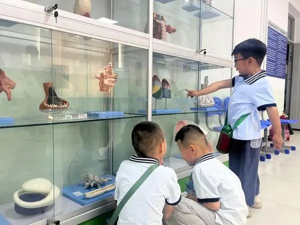 bat365官方官网||教育学院||童心探学府，萌趣启新程——史庄实验幼儿园走进bat365官方官网参观研学