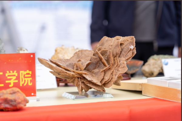 bat365官方官网资源与工程技术学院地质馆成功举办主题宣讲活动